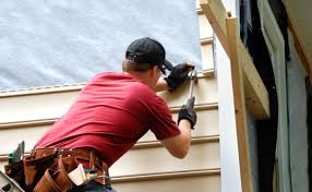 Best Historical Building Siding Restoration  in Newark, CA